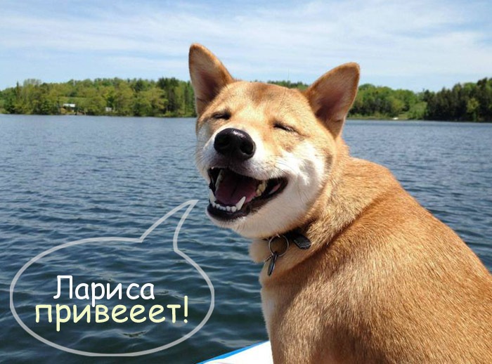 привет лариса картинки онлайн